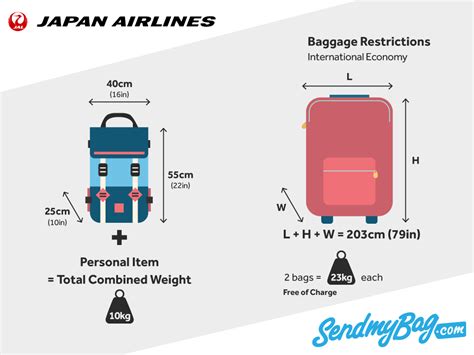 jal checked baggage fee.